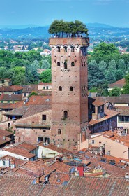 Grand Universe Lucca, Autograph Collection