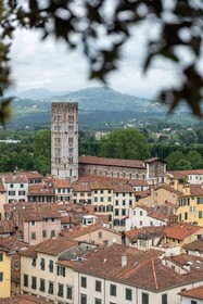 Grand Universe Lucca, Autograph Collection