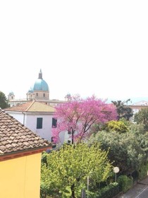 Stipino