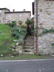 Suite Accommodation