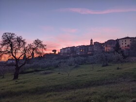 Cipresso E Pietra