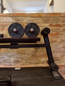 Cipresso E Pietra