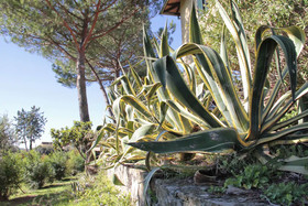 Agriturismo Anna De Croy