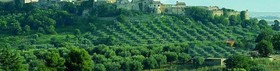 Borgo Magliano Garden Resort