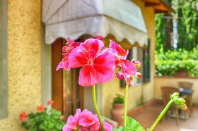 Cascina de Fagiolari