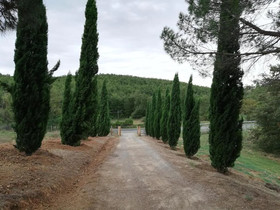 La Pianaccia Country House