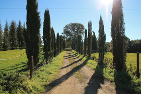 Pian Del Leccione