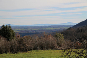 Pian Del Leccione