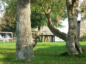 Piano Rosso Agriturismo