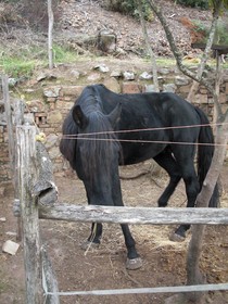 La Locanda del Minatore
