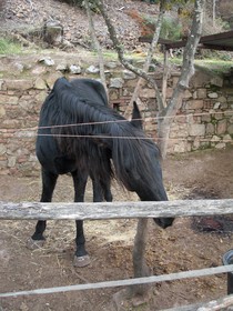 La Locanda del Minatore