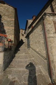 Annarita