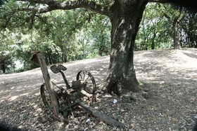 Agriturismo - Collina Toscana Resort