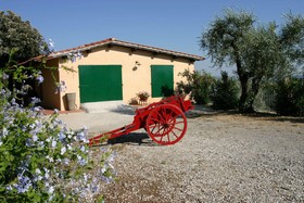 Agriturismo - Collina Toscana Resort