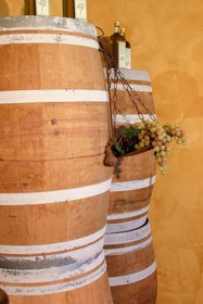 Agriturismo - Collina Toscana Resort