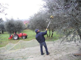 Agriturismo - Collina Toscana Resort