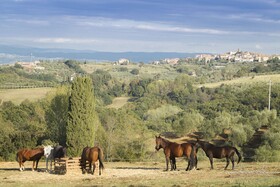 Castellare di Tonda Resort & Spa