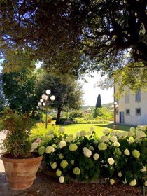 Agriturismo Il Frantoio Di Colle Alberto
