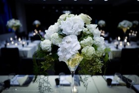 Hotel Montecatini Palace