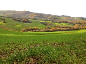 Il Chiesino Bed And Breakfast