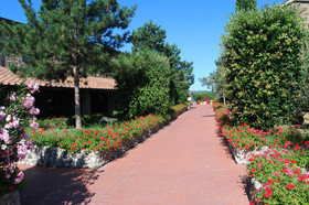 Hotel Fattoria Belvedere
