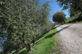 Agriturismo - Podere La Paolina