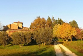 Agriturismo - Podere La Paolina