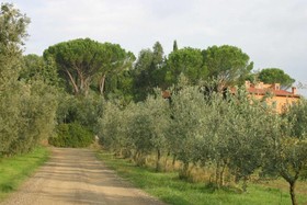 Tenuta San Vito