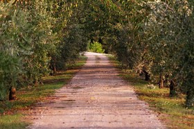 Agriturismo Casagrande