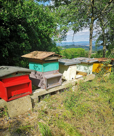 Agriturismo La Frateria Di San Benedetto
