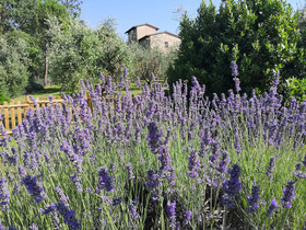 Agriturismo La Frateria Di San Benedetto