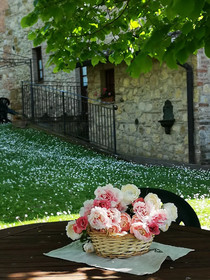 Agriturismo La Frateria Di San Benedetto