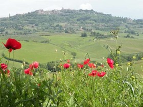 Agriturismo La Fraternita