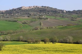Agriturismo La Fraternita