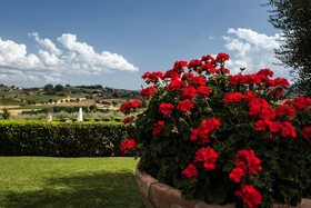 Agriturismo Sanguineto