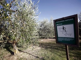 Agriturismo Sanguineto