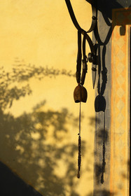 Fattoria San Martino