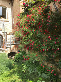 La Corte Segreta