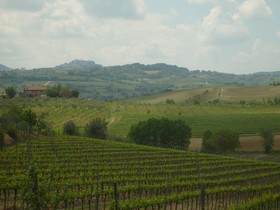 L'Orto di Panza