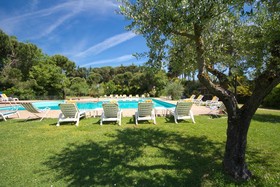 Panoramic