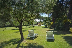 Panoramic