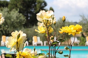 Panoramic