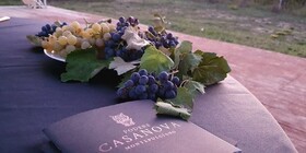 Podere Casanova - Montepulciano