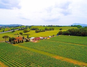 Podere Casanova - Montepulciano
