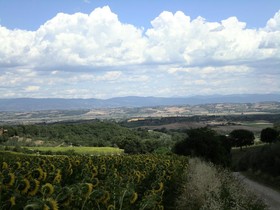 Sangallo