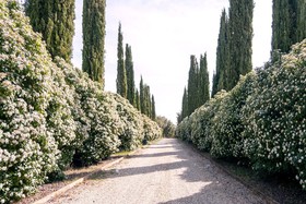 Villa Chiccheio