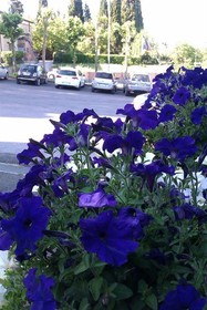 Hoteel SienaI Platani