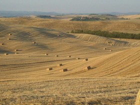 Agriturismo San Giorgio