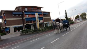 Hotel Mille Miglia