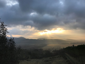 Fattoria St Ottaviano